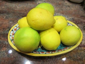 Meyer Lemons