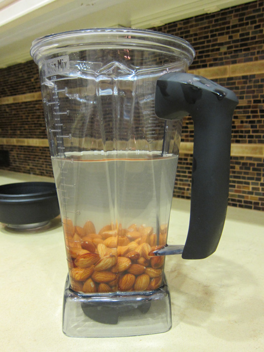 vitamix with almonds