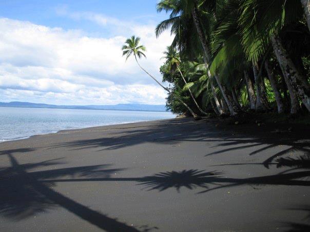 Black Sand Beach Costa Rica