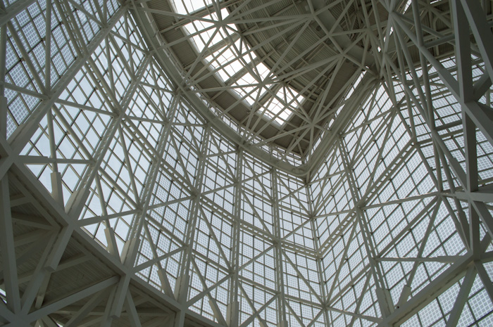 Roof At Convention Center