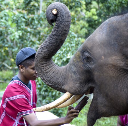 Reggie feeding the Ele