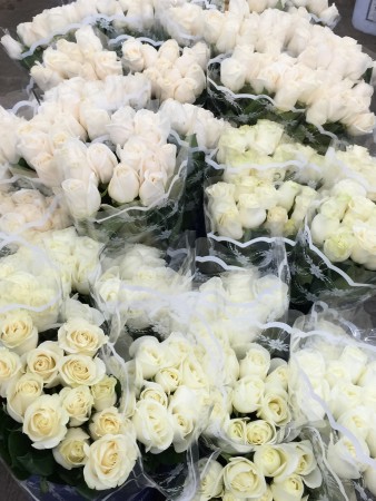 White roses