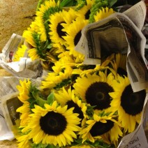 Sunflowers