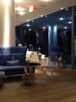 Blue Lobby